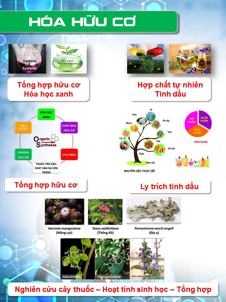 hóa hữu cơ